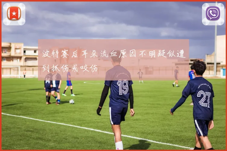 波特赛后耳朵流血原因不明疑似遭到抓伤或咬伤