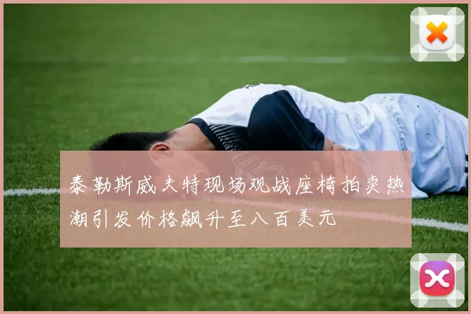 泰勒斯威夫特现场观战座椅拍卖热潮引发价格飙升至八百美元