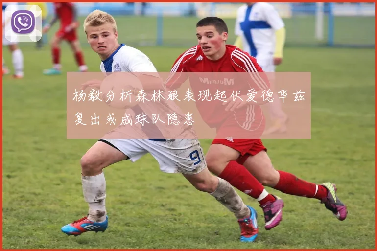 杨毅分析森林狼表现起伏爱德华兹复出或成球队隐患